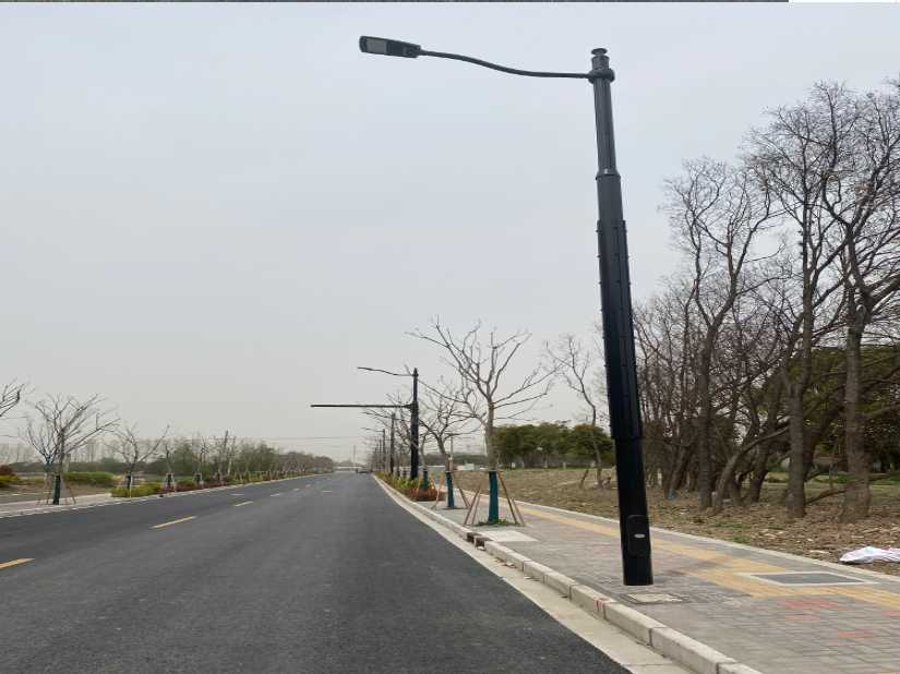 大英县上海综合杆 太阳能路灯工程